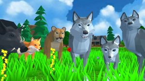 Wolf Pack Wilderness Journey