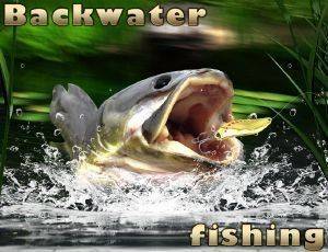 Peaceful Angling Adventure