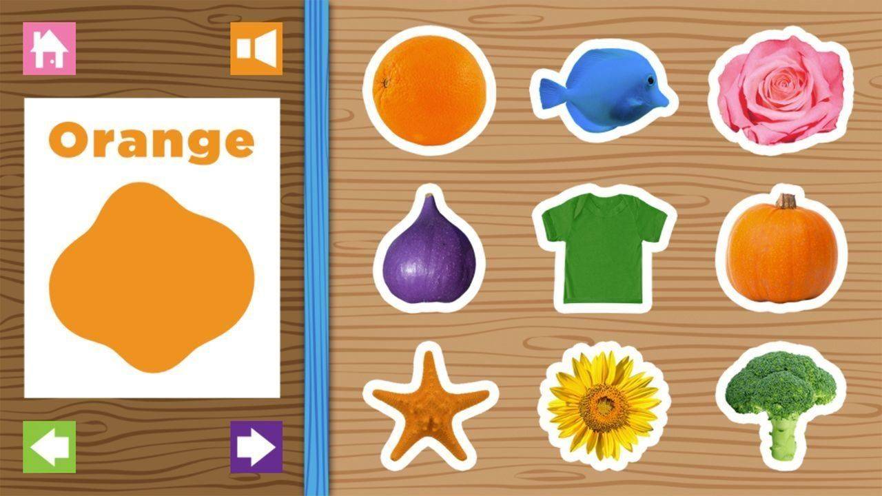 Color Recognition Playground for Toddlers