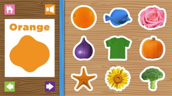 Color Recognition Playground for Toddlers
