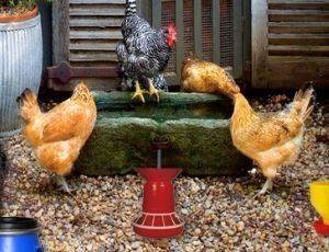 Easter Egg Hunt Farm Puzzle