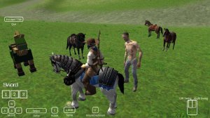 Horse Care and Trail Riding Adventure