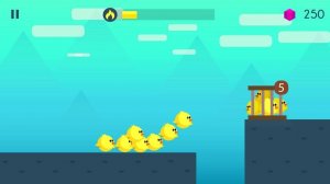 Little Flock Freedom Quest