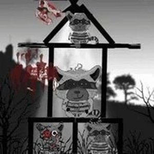 Raccoon Puzzle Adventure