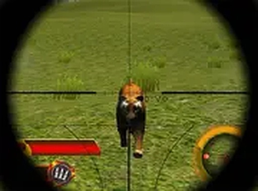 Mountain Animal Accuracy Challenge